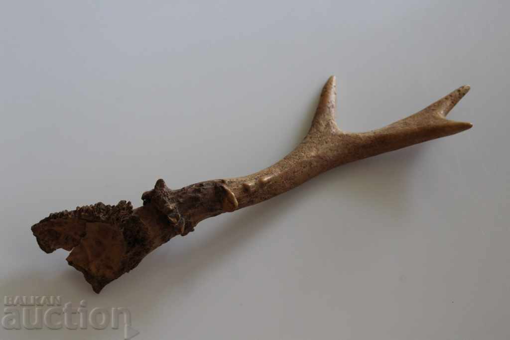 TROFEU COARNE CERB DECOR VÂNĂTOARE