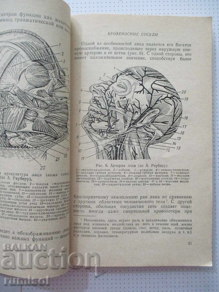 Livrarea Ghid pentru asistenții medicali din unitățile stomatologice