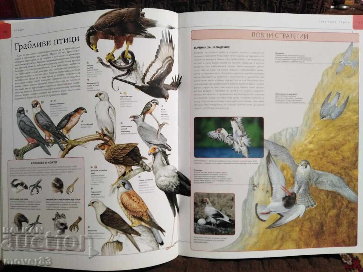 Animals. Children's Encyclopedia. Egmont - 7
