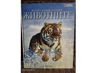 Animals. Children's Encyclopedia. Egmont