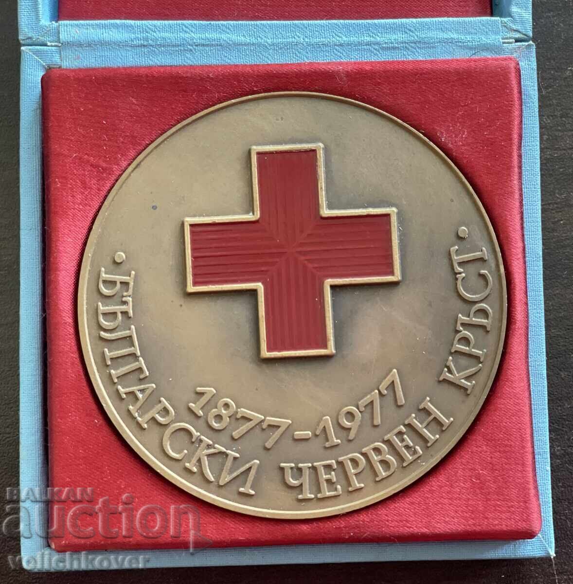 43650 Bulgaria plaque Nikolai Pirogov 100 years BRC 1987 with price € 30.00 | 58.68 BGN