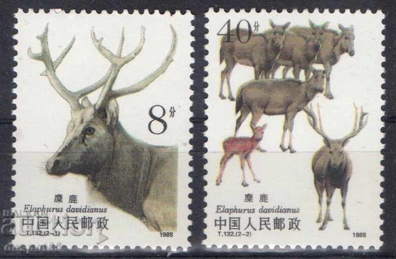 1988. China. Père David's deer