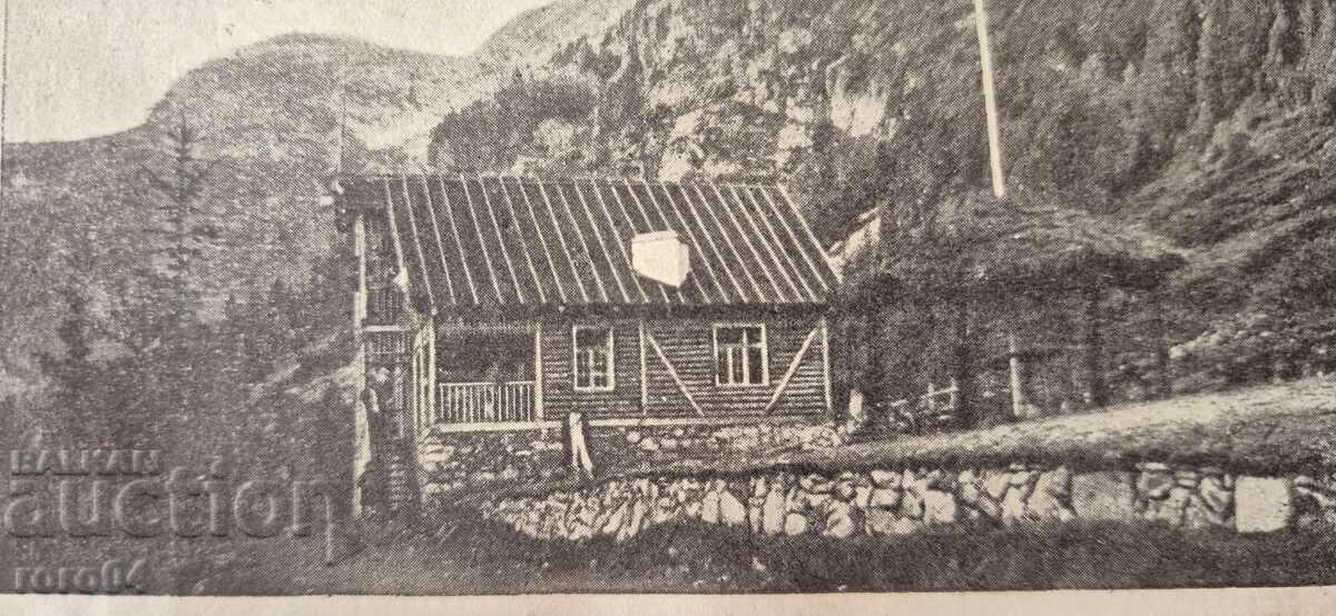 Auction  SKAKAVITSA - HUT