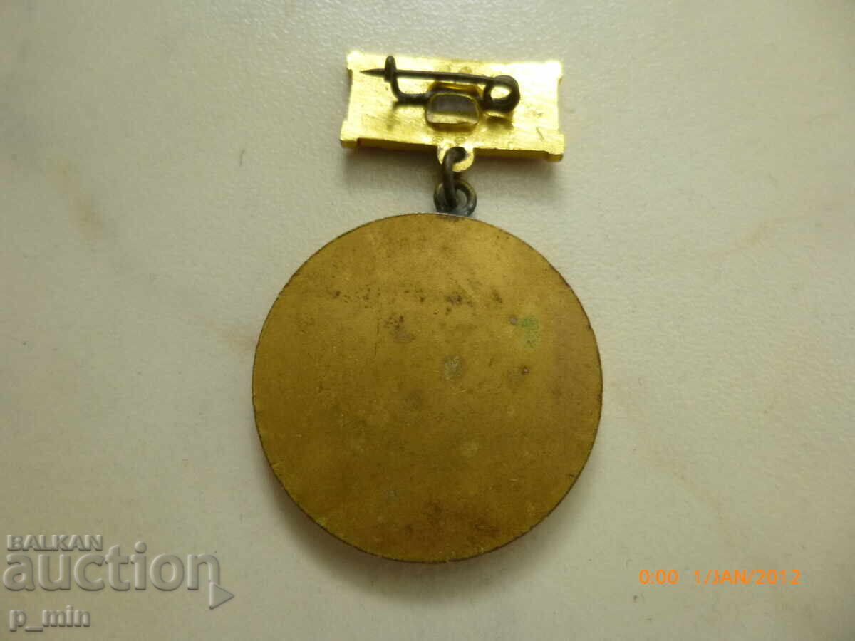 Δημοπρασία σήμα πέτου - IPP MASHPROEKT
