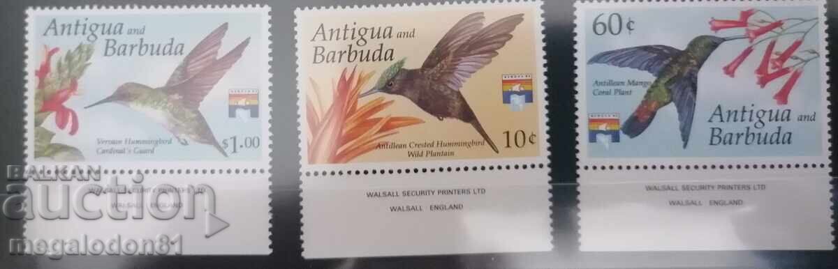 Auction  Antigua & Barbuda - hummingbird