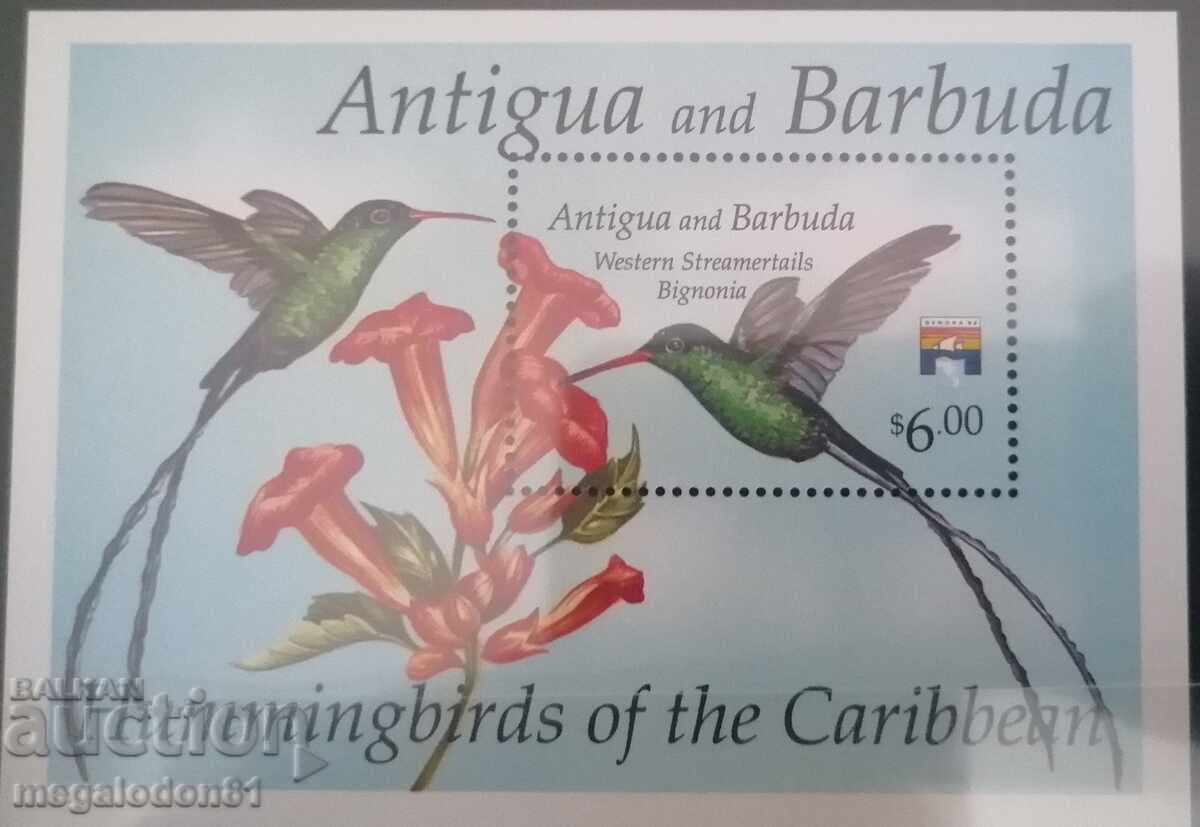 Delivery of Antigua & Barbuda - hummingbird