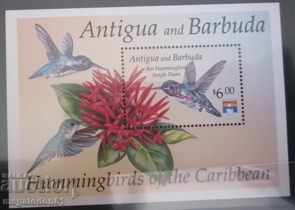 Antigua & Barbuda - hummingbird - 5