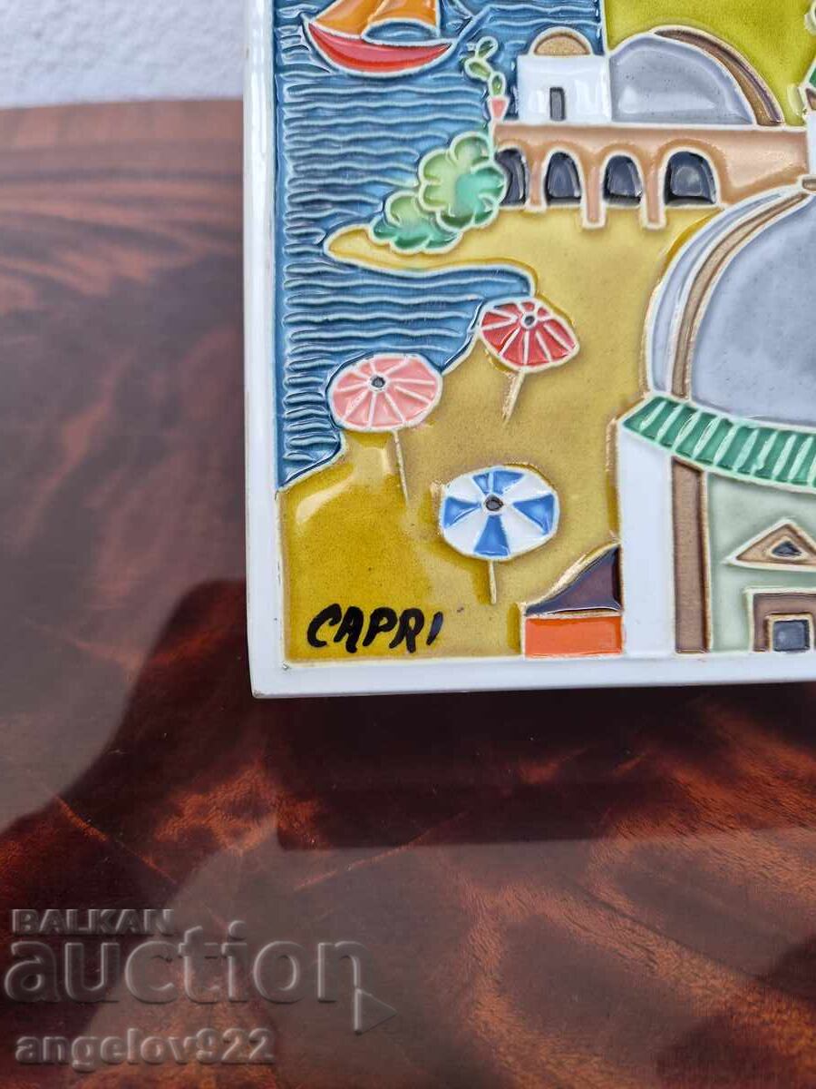 Platou masiv din porțelan în relief pentru perete!!! - 5