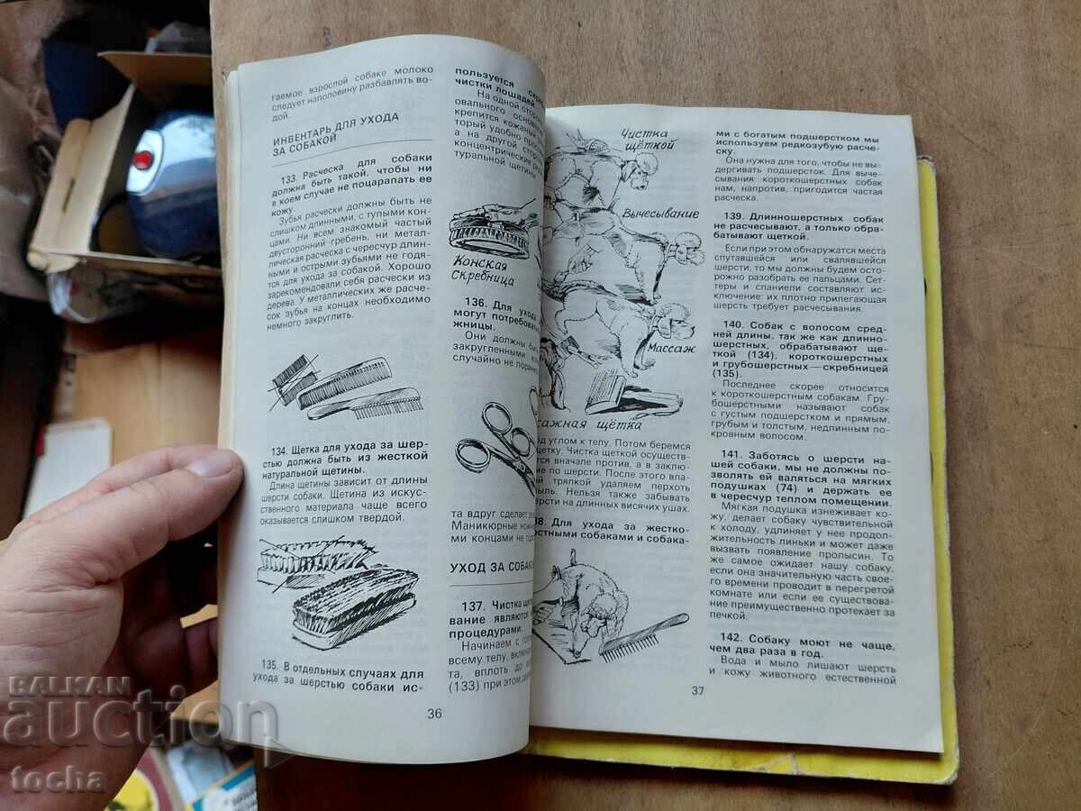 Δημοπρασία Για κάθε τι από κάτι, παρτίδα Δημοπρασία Για κάθε τι από κάτι, παρτίδα