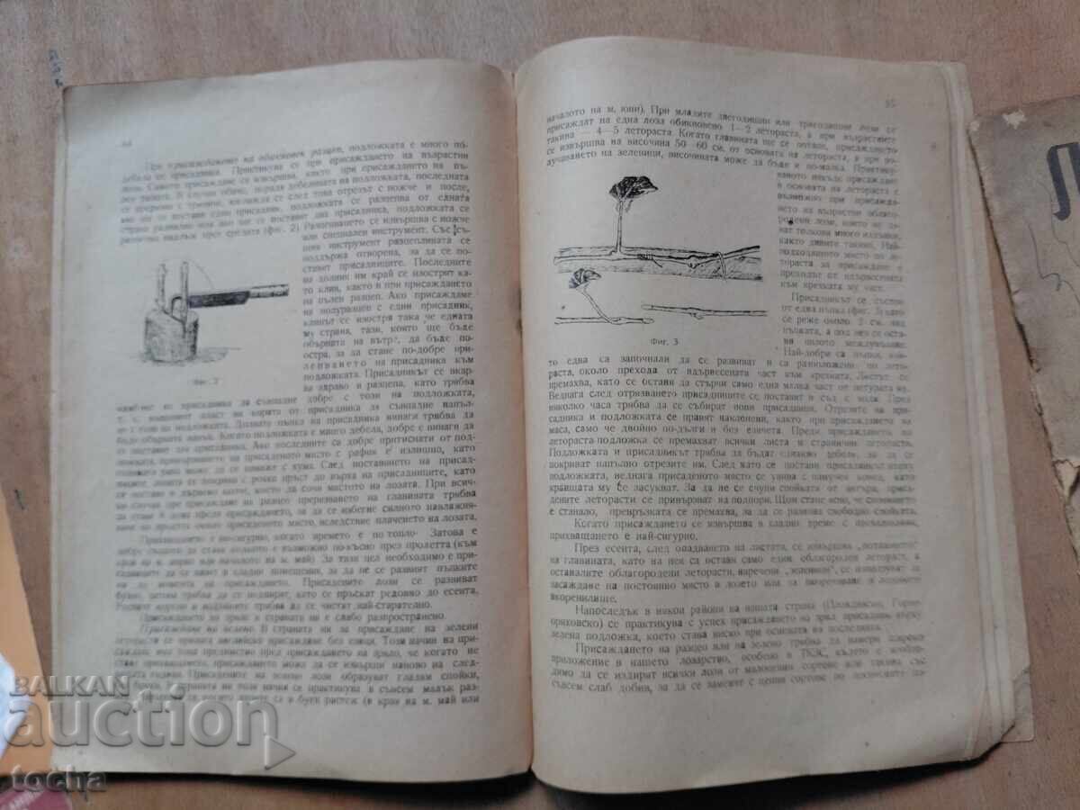 Δημοπρασία Αμπελουργική επιθεώρηση 1949, παρτίδα