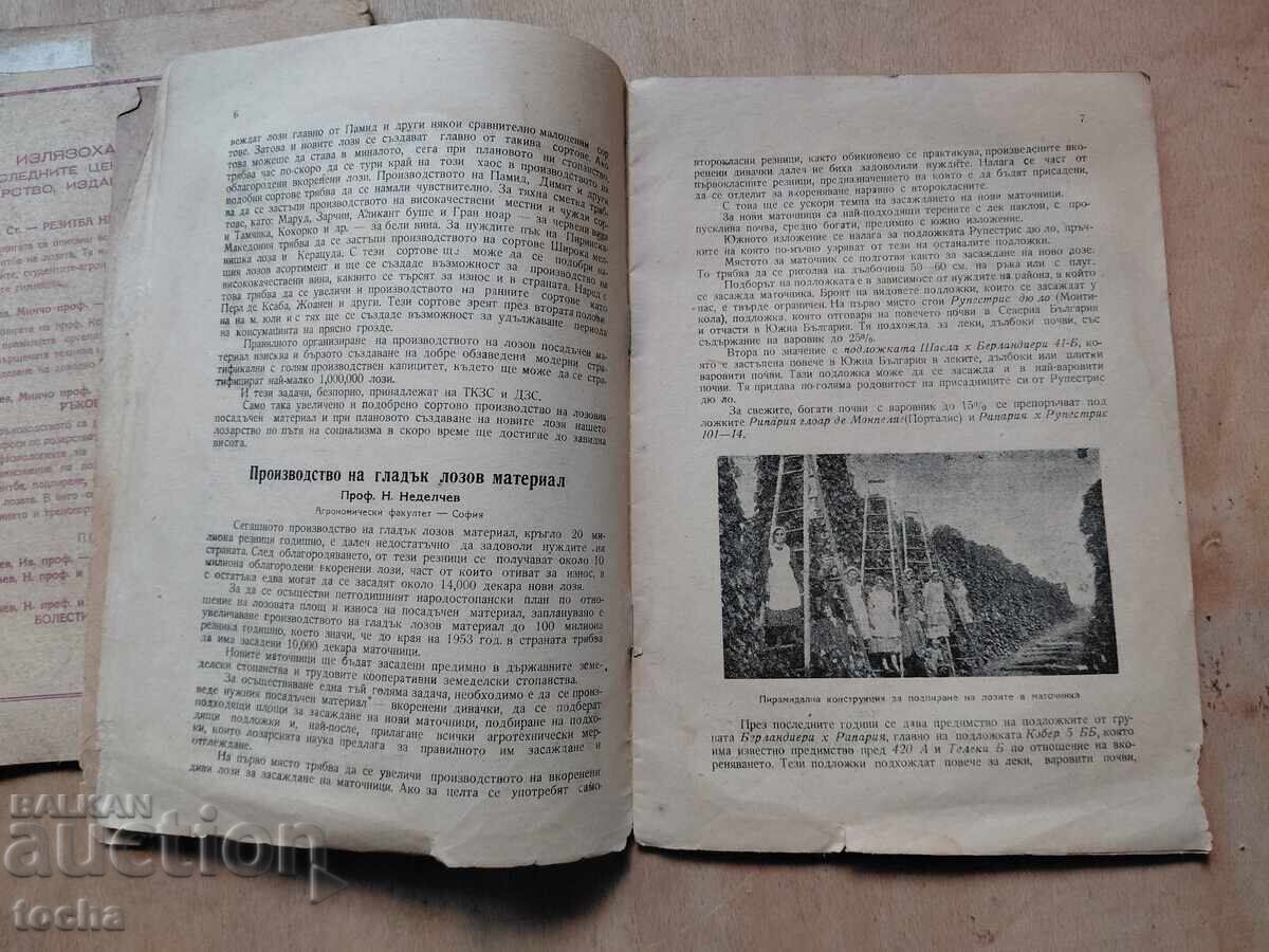 Αμπελουργική επιθεώρηση 1949, παρτίδα - 5