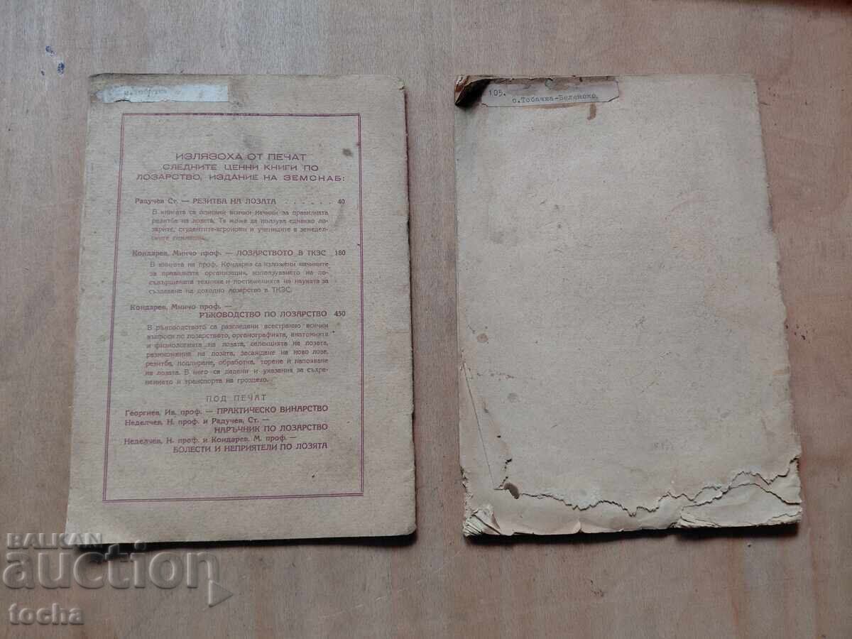 Αμπελουργική επιθεώρηση 1949, παρτίδα - 7