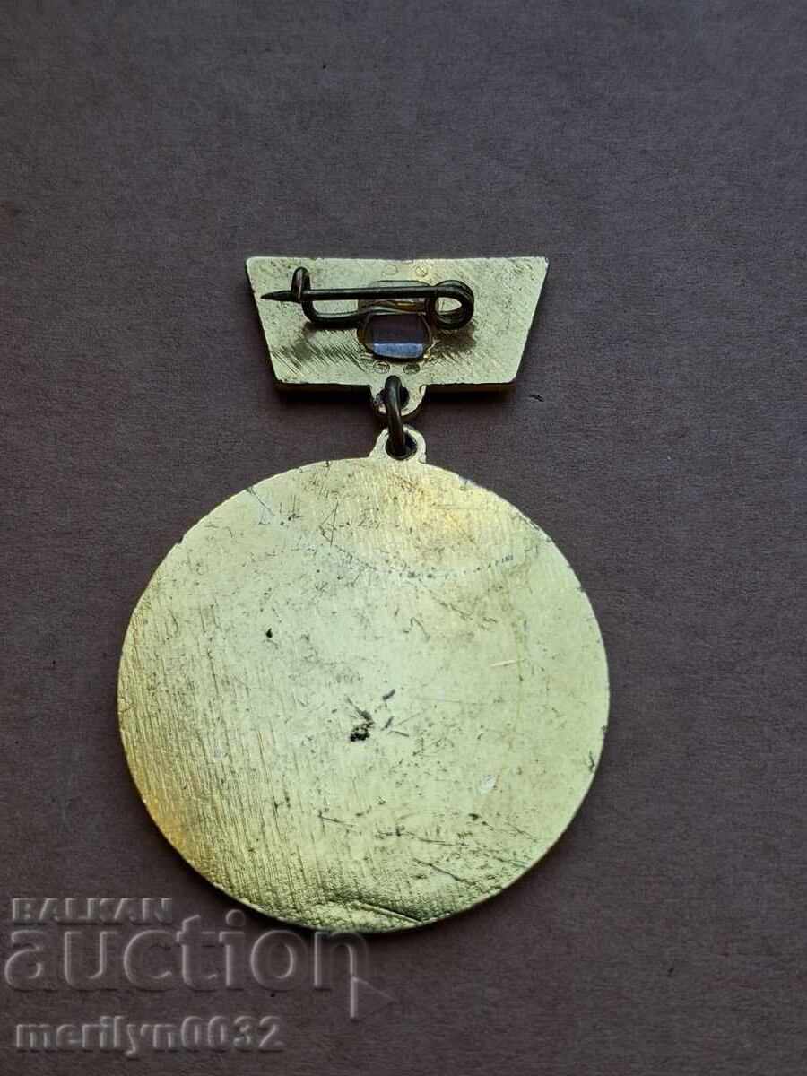 Auction  APK Lyaskovets medal breast badge