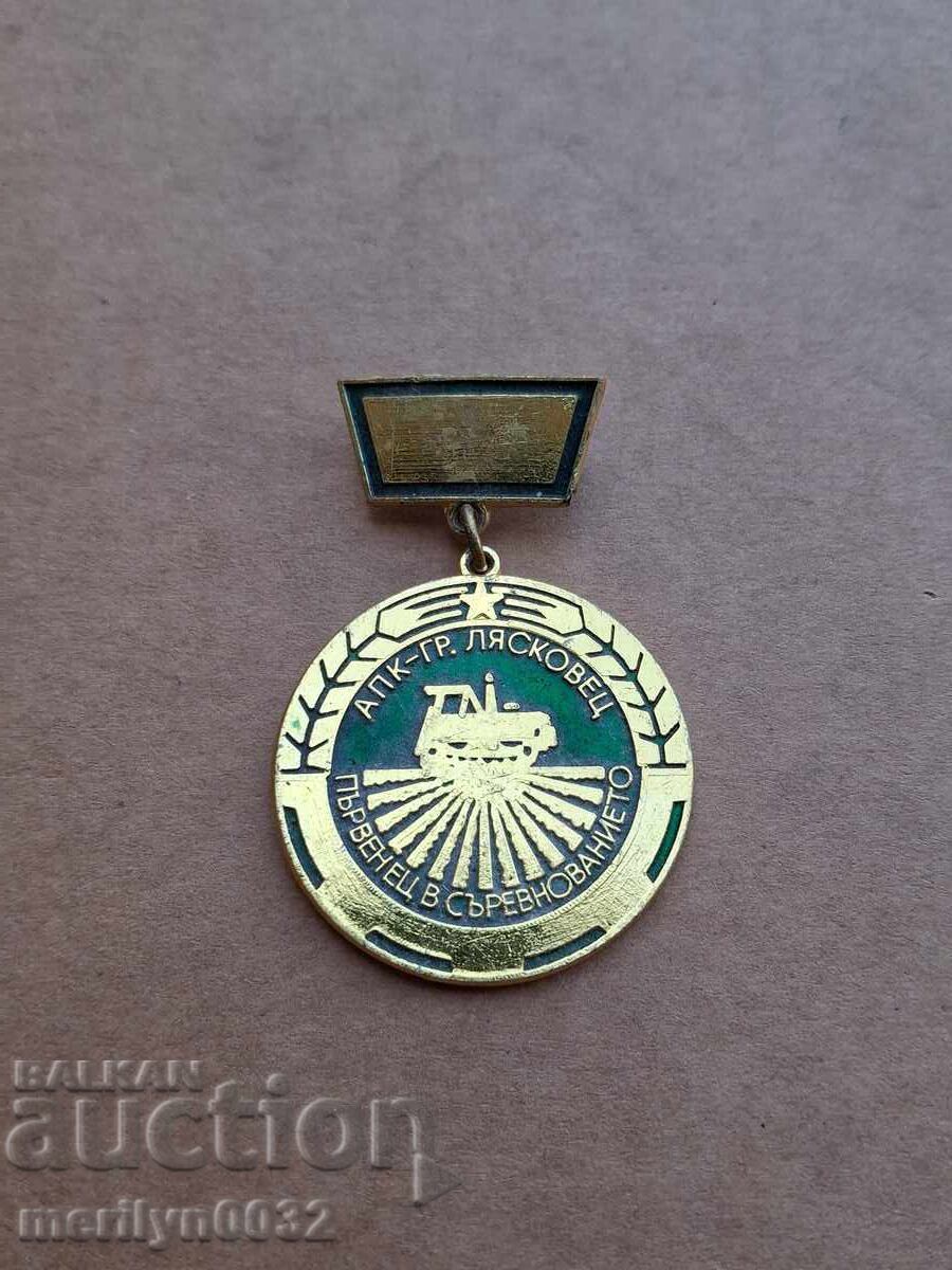 APK Lyaskovets medal breast badge - 5