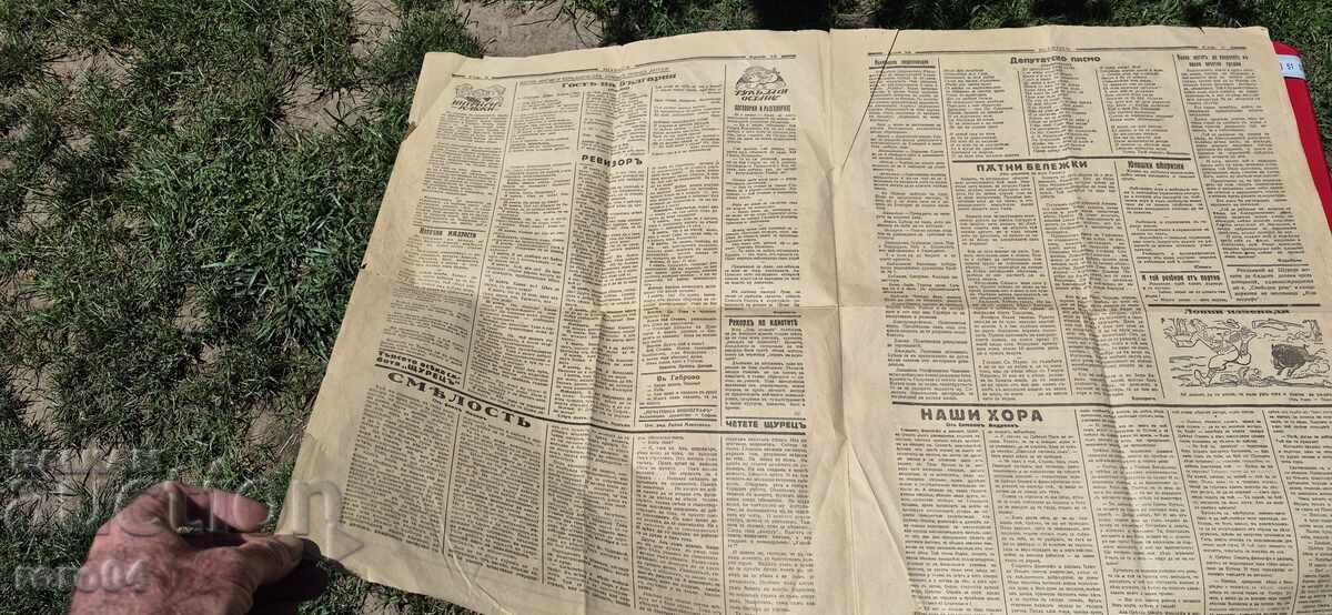 Livrarea ȘTUREȚ - RAJKO ALEKSIEV - 1933