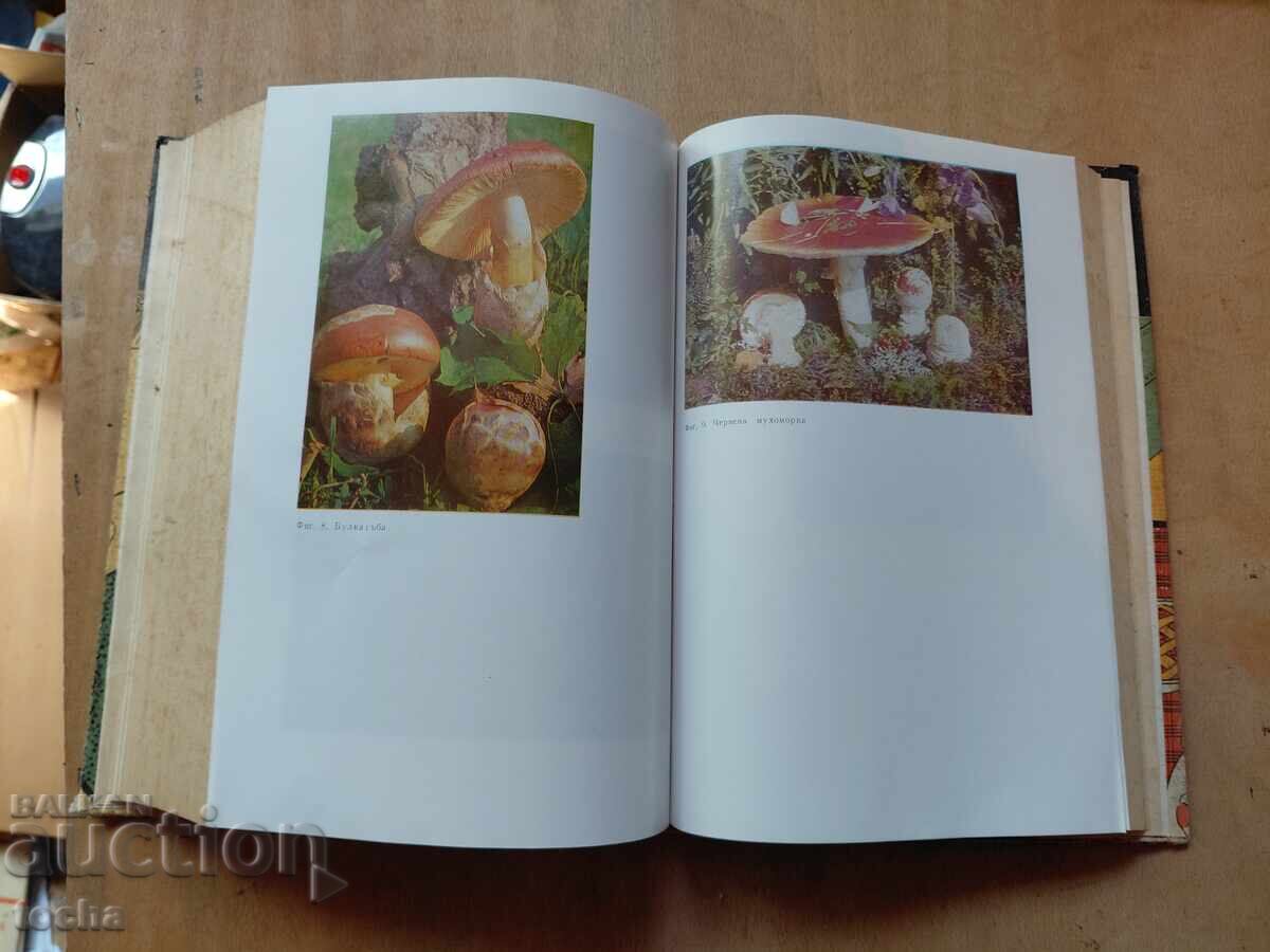 Delivery of A book for every day and every home