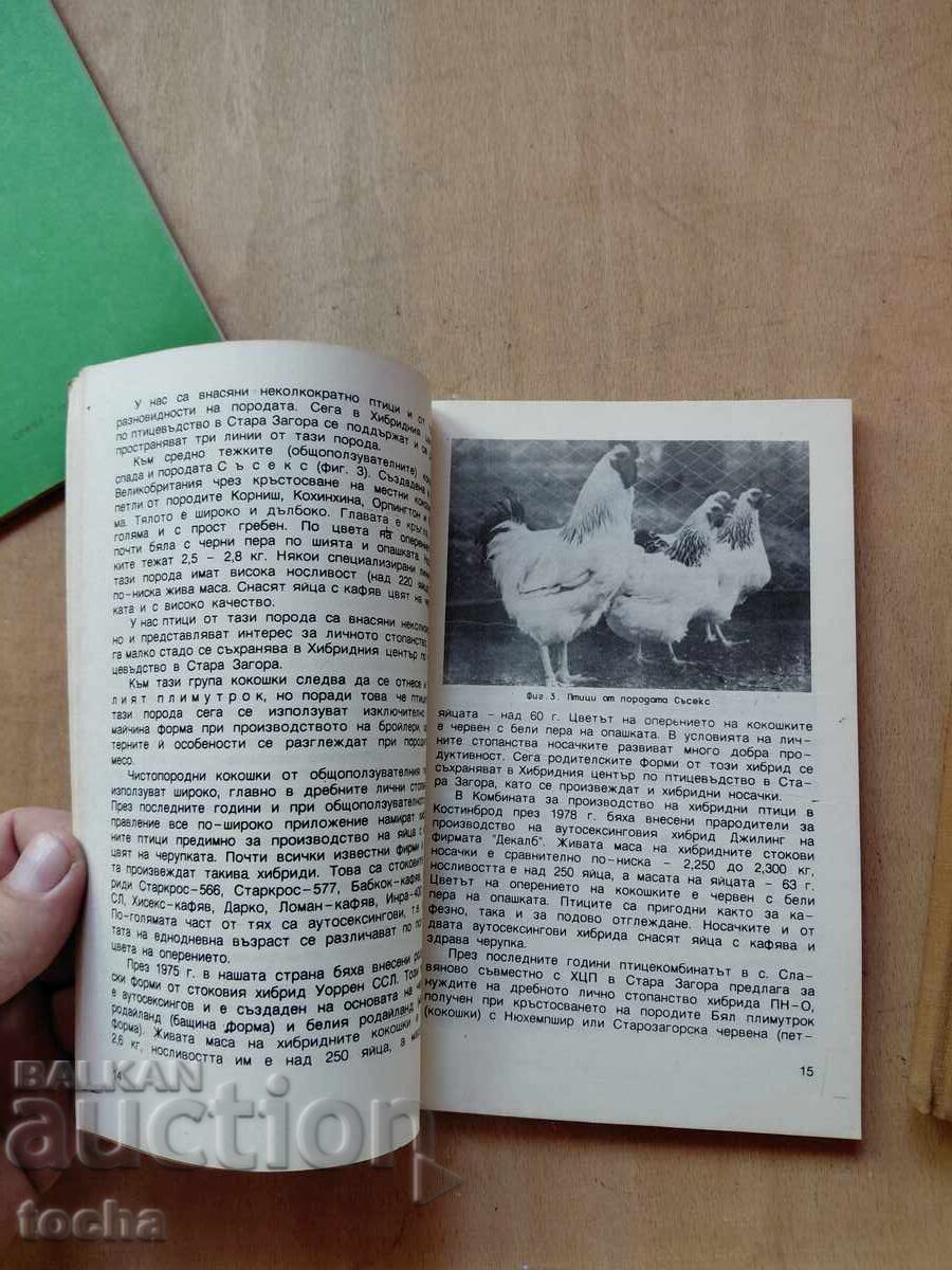 Δημοπρασία Κτηνοτροφία και μελισσοκομία, παρτίδα
