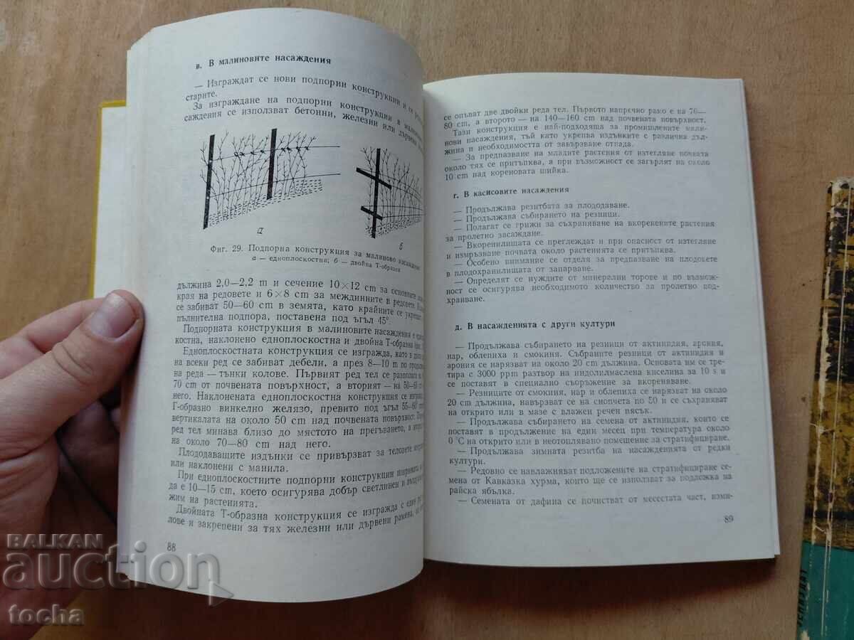 Δημοπρασία Γεωργία και αμπελουργία, παρτίδα