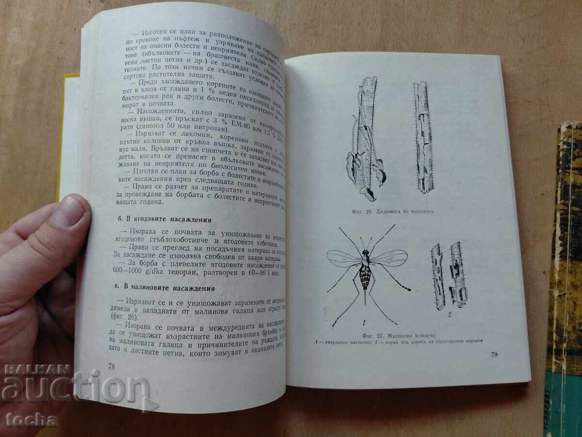 Παράδοση Γεωργία και αμπελουργία, παρτίδα