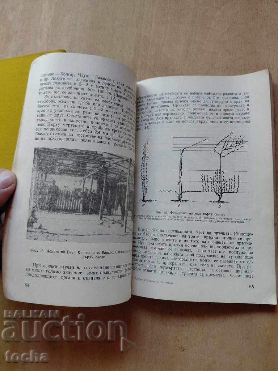 Γεωργία και αμπελουργία, παρτίδα - 6