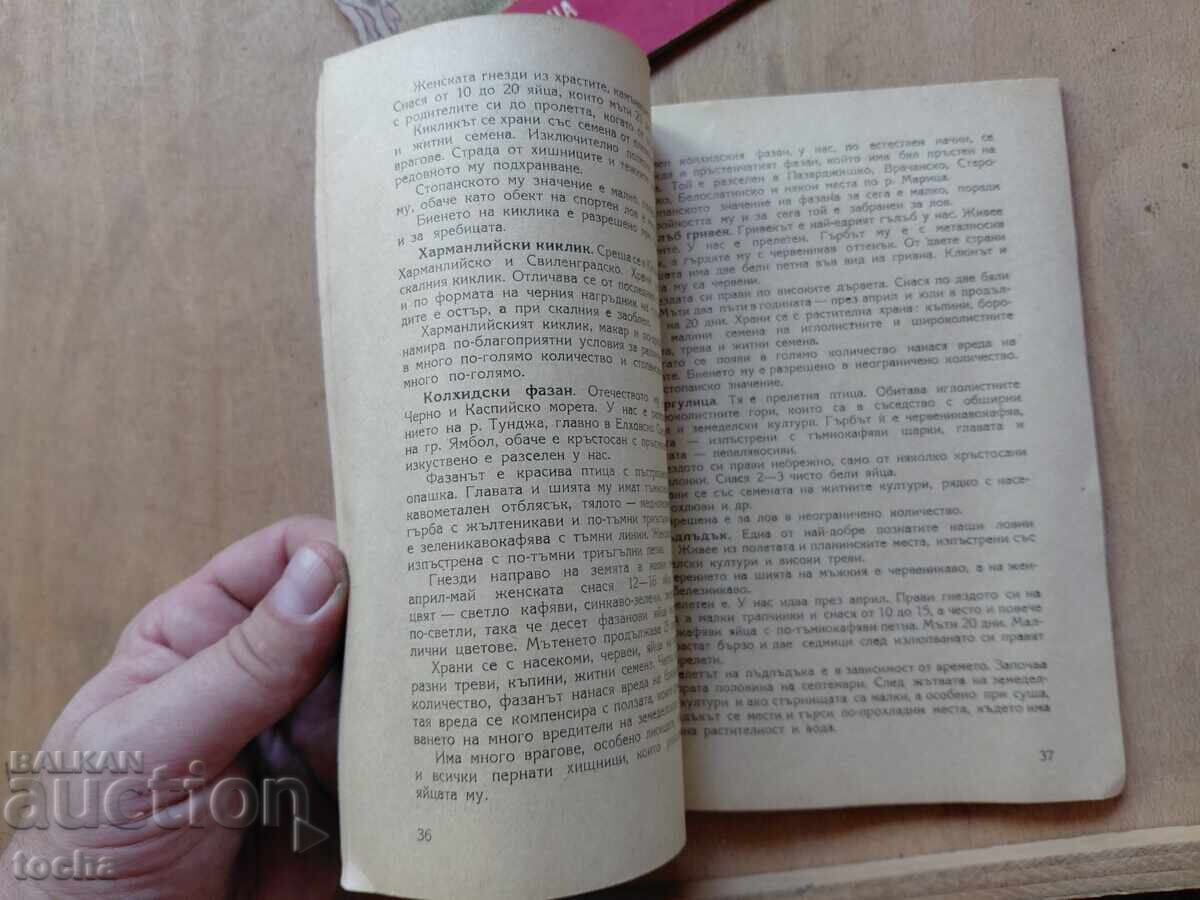 Παράδοση Σε βοήθεια του κτηνοτρόφου, Λαϊκός κυνηγός