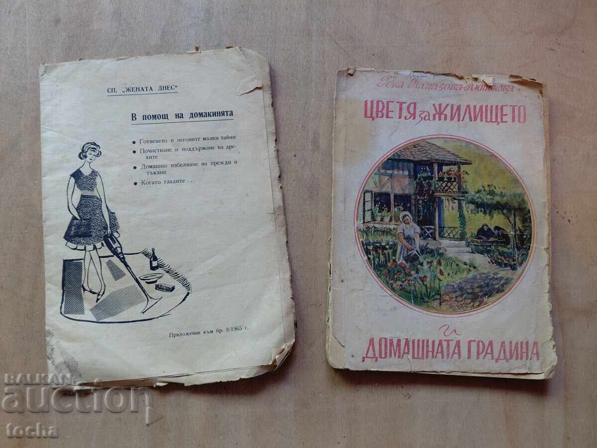 Flori pentru apartament și grădina de acasă