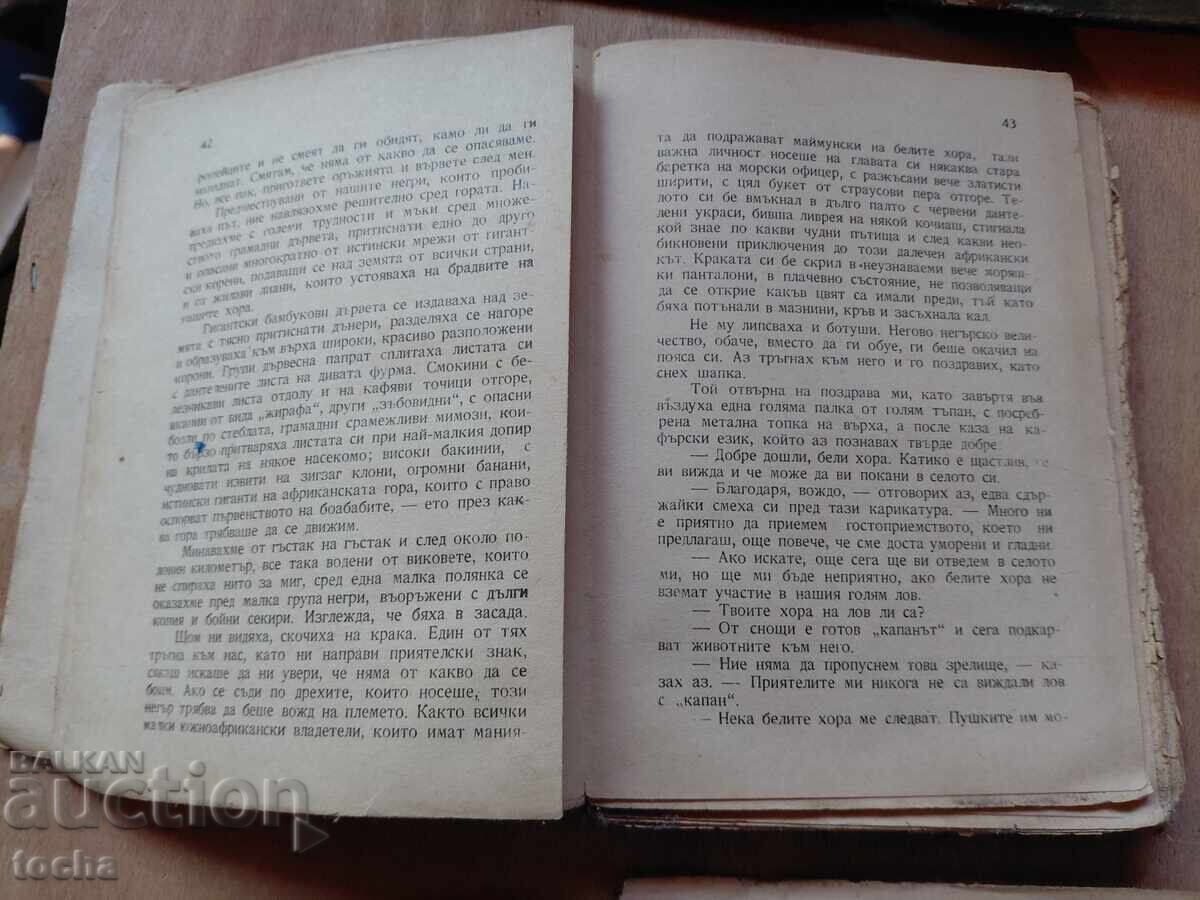 Аукцион Ехо от бурята, Пещерите на съкровищата , лот Аукцион Ехо от бурята, Пещерите на съкровищата , лот