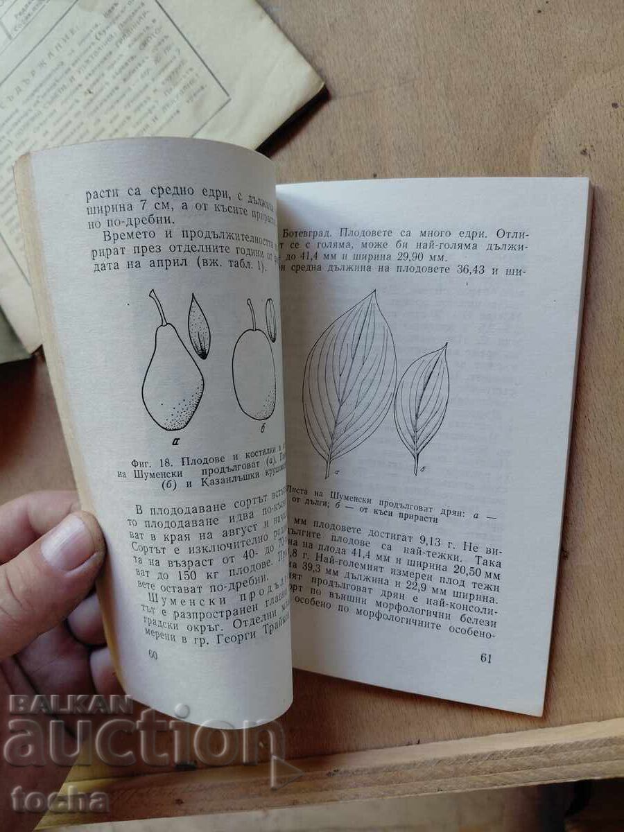 Аукцион Земеделие , лот