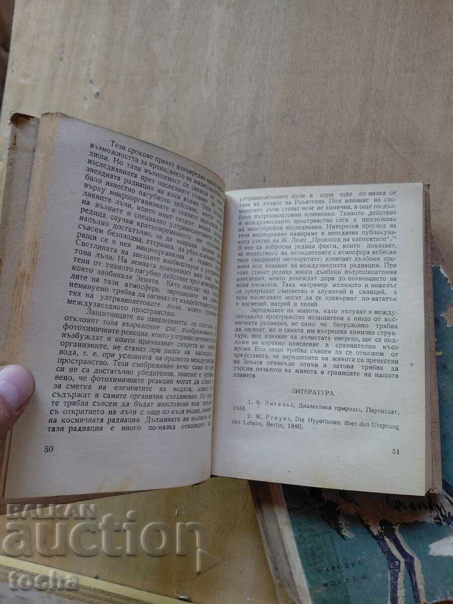 Licitație Originea vieții, Păsări care vin la noi, lot Licitație Originea vieții, Păsări care vin la noi, lot