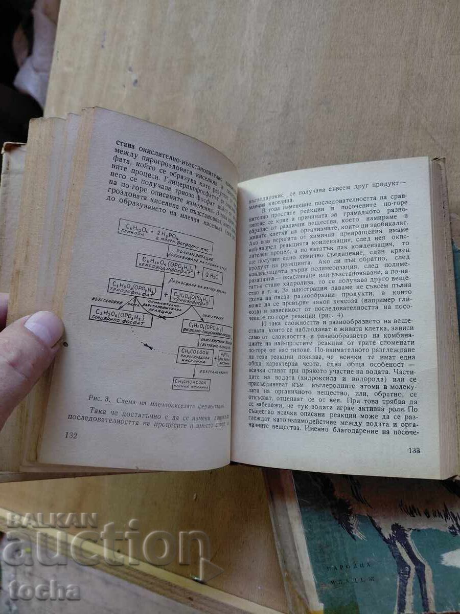 Livrarea Originea vieții, Păsări care vin la noi, lot Livrarea Originea vieții, Păsări care vin la noi, lot