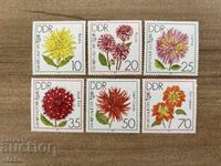 ГДР - Цветя - Далии - Международно градинско...(1979) MNH