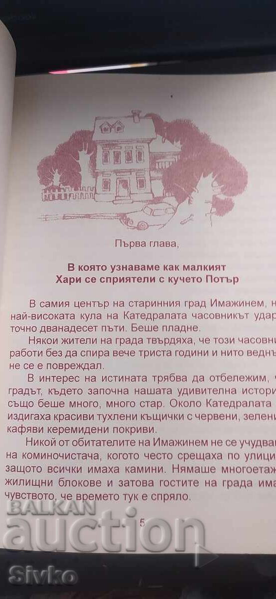 Аукцион Малкият Хари и кучето Потър, илюстрации
