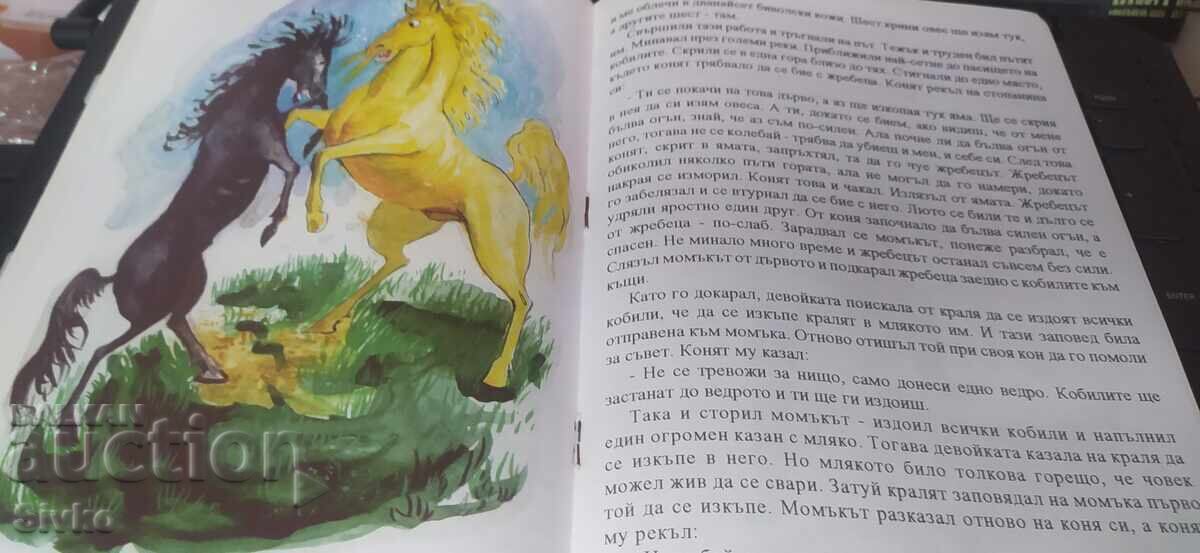 The Wise Horse, many illustrations - 7