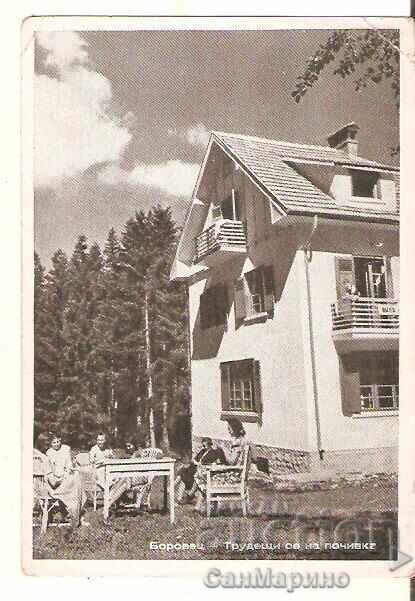 Carte poștală Bulgaria Borovets Muncitori în vacanță*