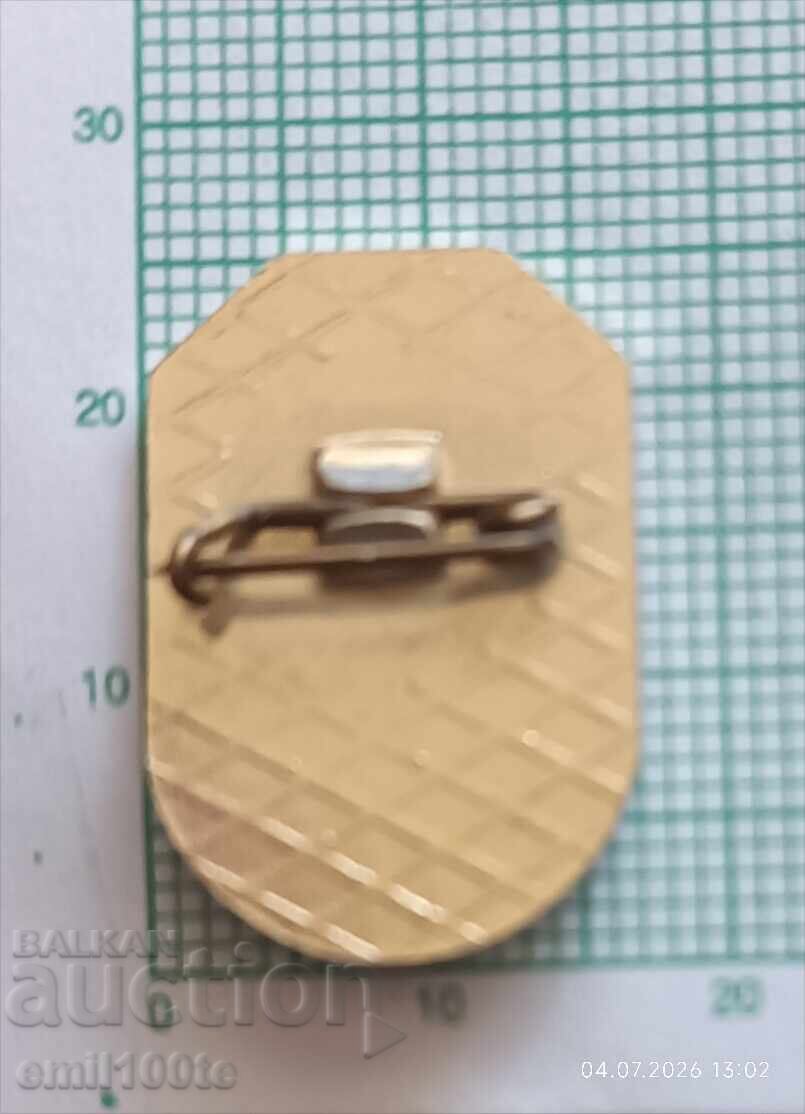 Delivery of Badge - SMEK Georgi Dimitrov Pernik Bolshevik mine