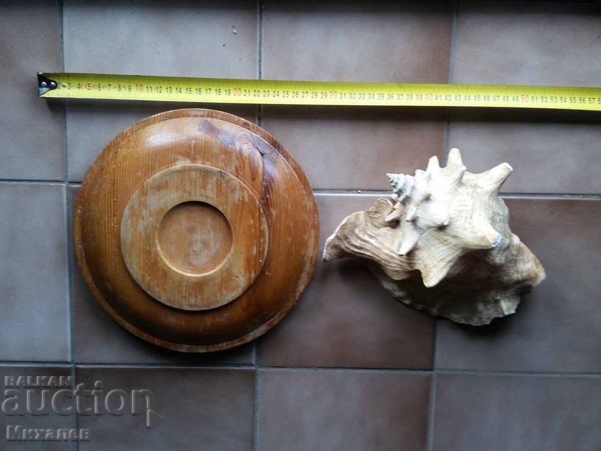 scoică de mare și fructieră din lemn cu preț € 0.01 | 0.02 BGN