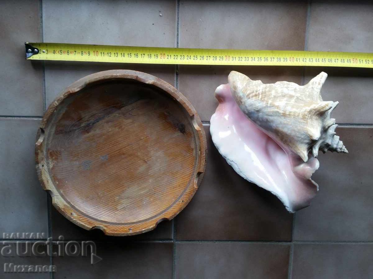 scoică de mare și fructieră din lemn