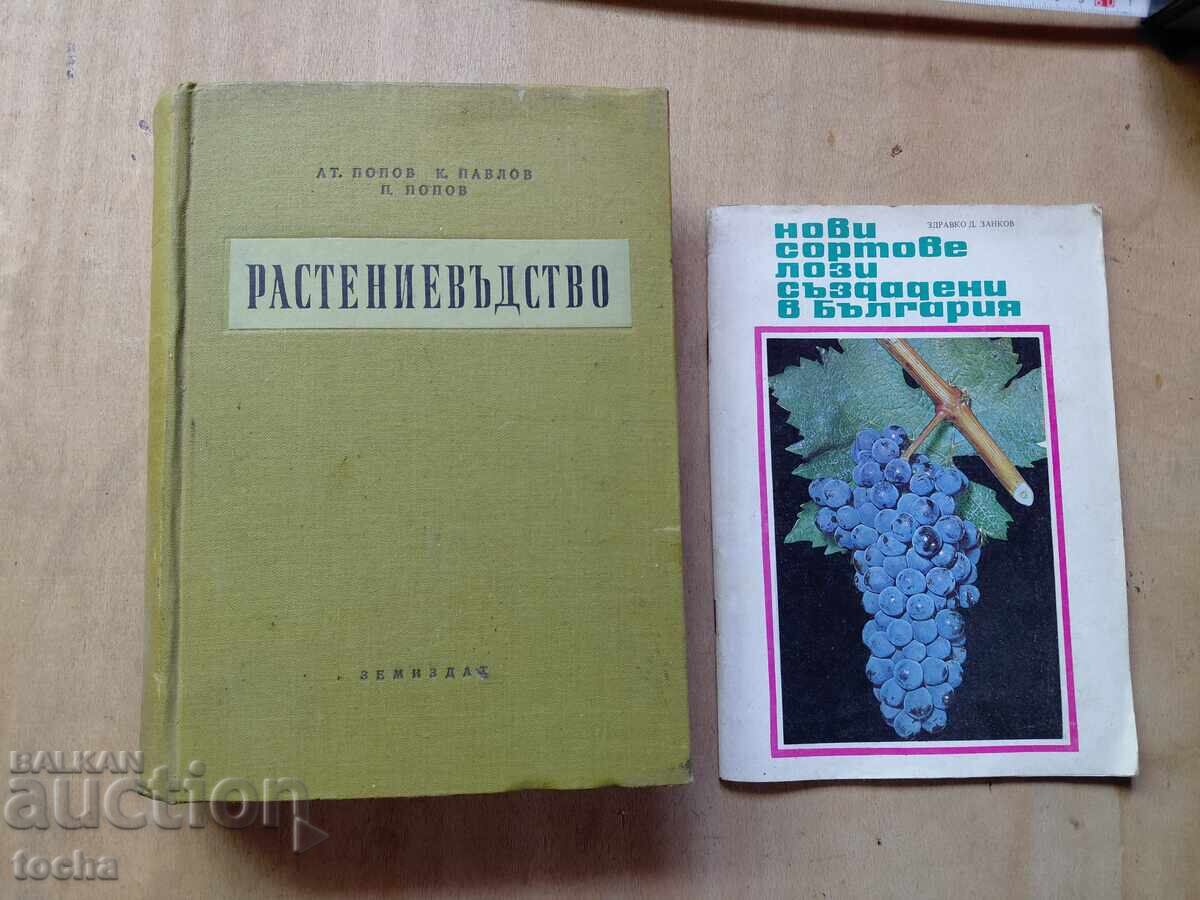 Cultivarea plantelor, Viticultură, lot