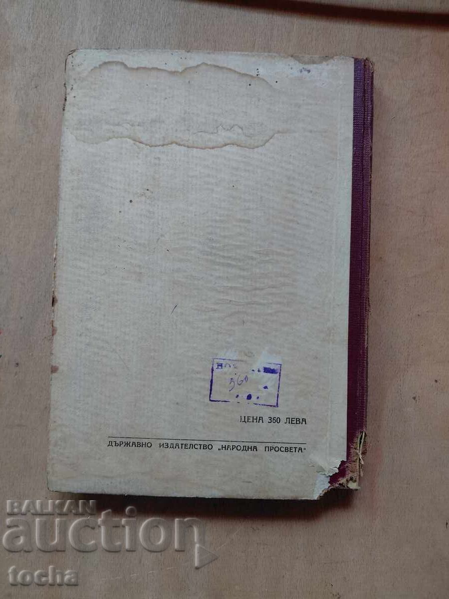 Cunoștințe de bază despre artele vizuale - 7