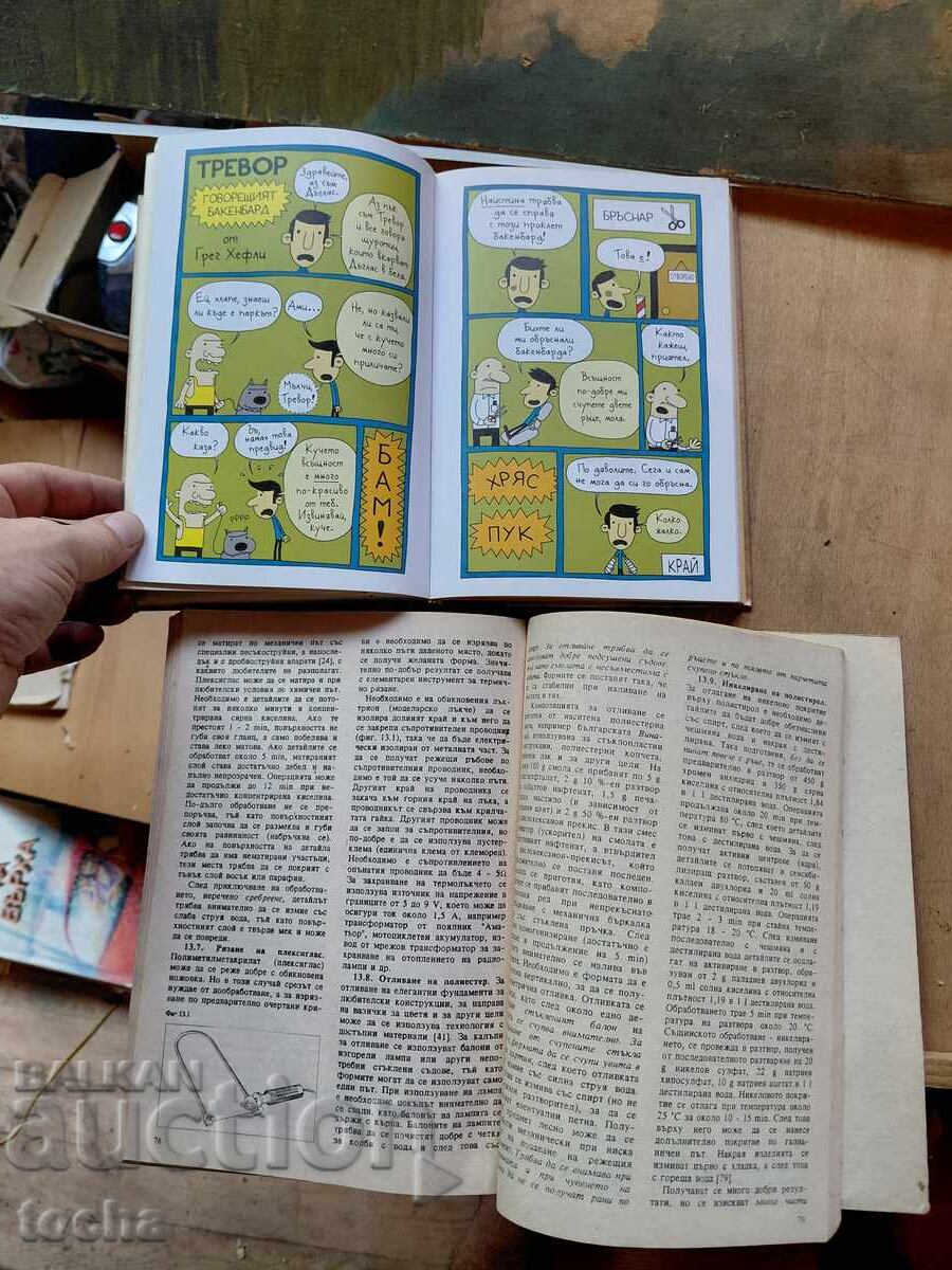 Livrarea Jurnalul unui puști, Do-it-yourself, lot