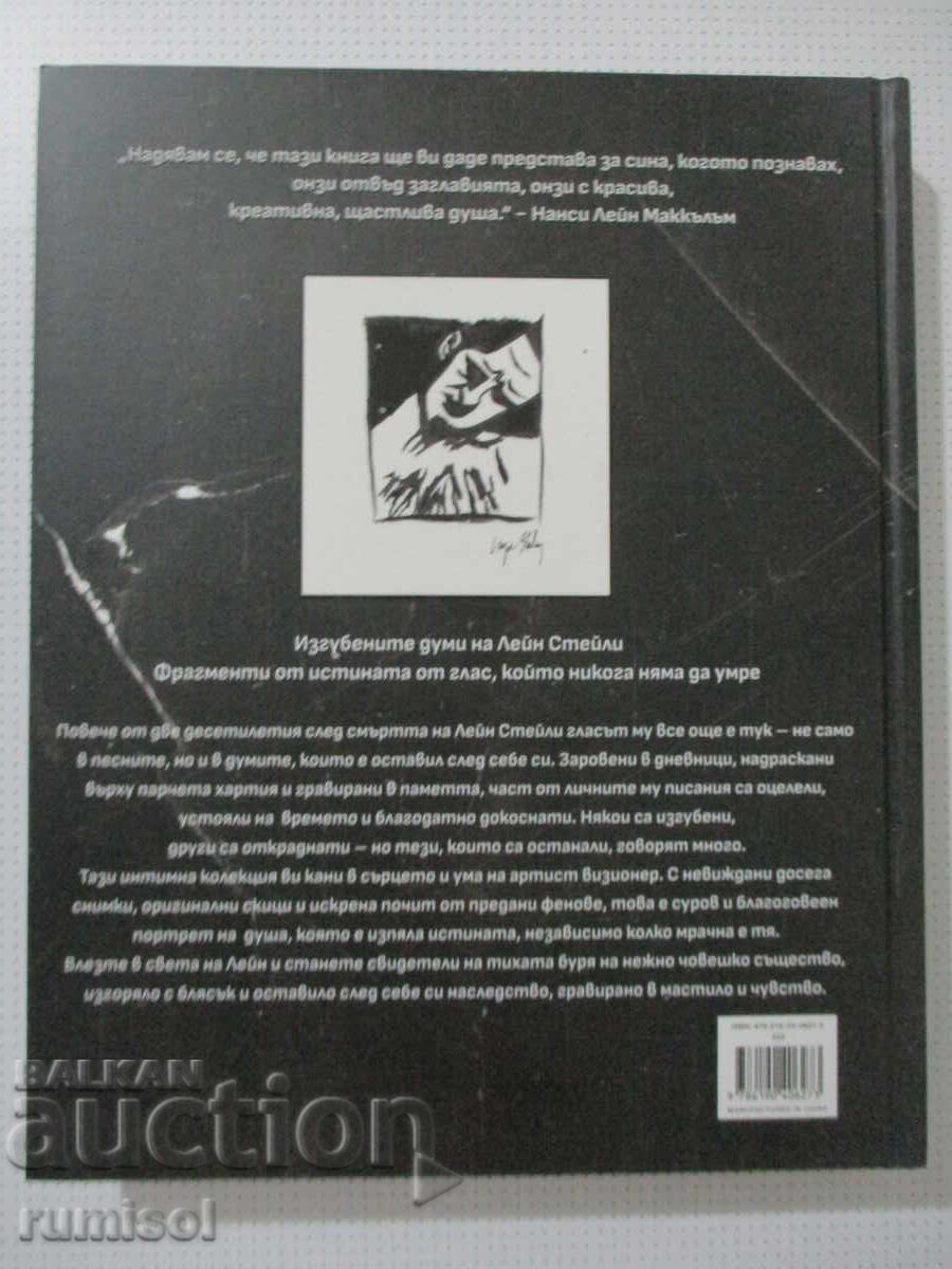 Възстановяване на дневниците на Лейн Стейли - 7
