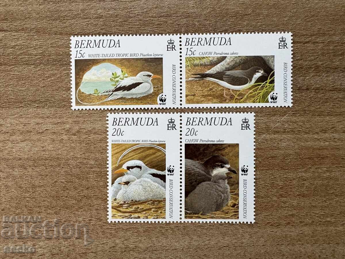Βερμούδα - Πουλιά (2001) MNH
