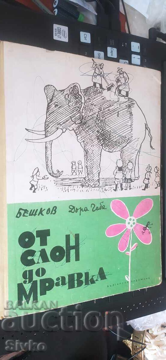 From Elephant to Ant, Dora Gabe, illustrations by Iliya Beshkov