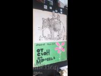 Από τον ελέφαντα ως το μυρμήγκι, Ντόρα Γκάμπε, εικονογράφηση Ηλία Μπέσκοφ