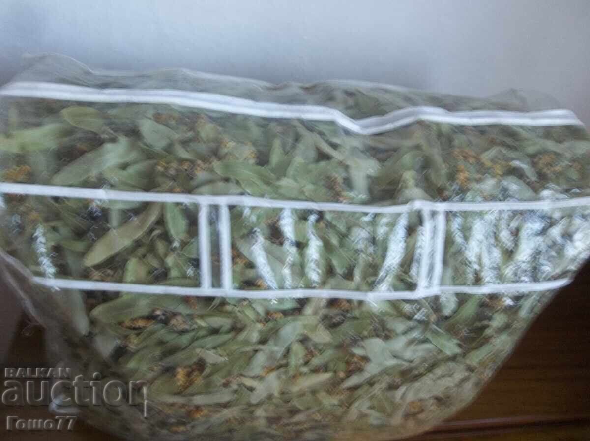 Άνθος φλαμουριάς με τιμή € 80.00 | 156.47 BGN