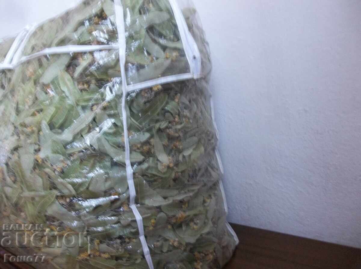 Δημοπρασία Άνθος φλαμουριάς