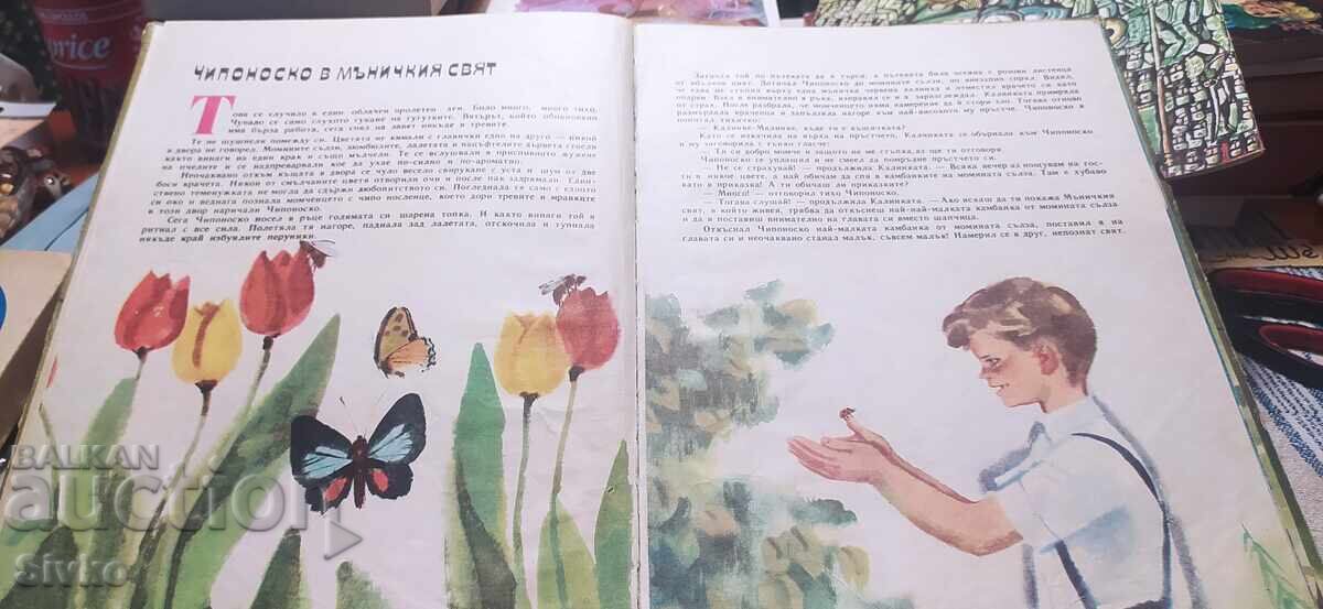 Οι περιπέτειες του Τσιπονοσκο, Γιορντάν Μιλτένοφ πολλές εικονογραφήσεις με τιμή € 9.99 | 19.54 BGN Οι περιπέτειες του Τσιπονοσκο, Γιορντάν Μιλτένοφ πολλές εικονογραφήσεις με τιμή € 9.99 | 19.54 BGN