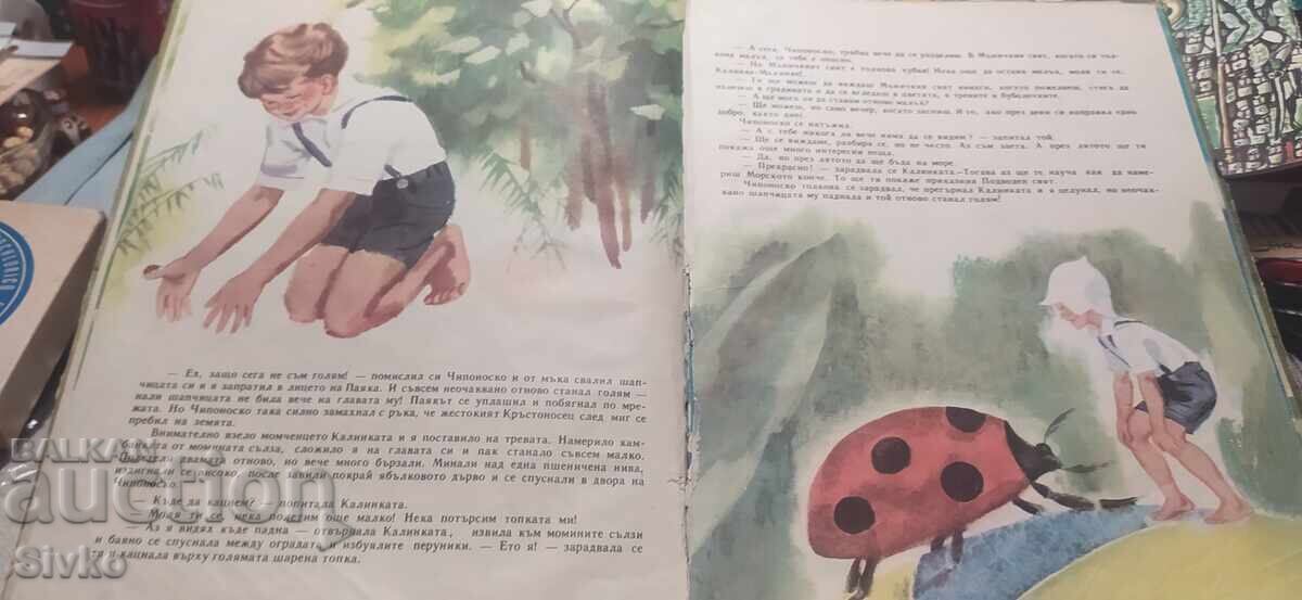 Οι περιπέτειες του Τσιπονοσκο, Γιορντάν Μιλτένοφ πολλές εικονογραφήσεις - 5 Οι περιπέτειες του Τσιπονοσκο, Γιορντάν Μιλτένοφ πολλές εικονογραφήσεις - 5