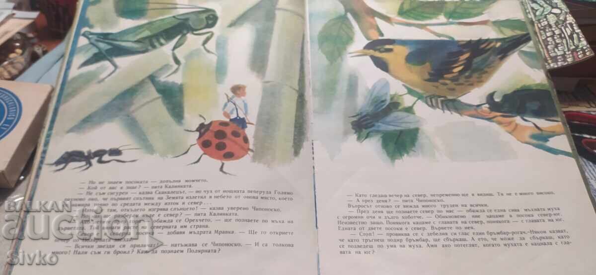 Οι περιπέτειες του Τσιπονοσκο, Γιορντάν Μιλτένοφ πολλές εικονογραφήσεις - 6 Οι περιπέτειες του Τσιπονοσκο, Γιορντάν Μιλτένοφ πολλές εικονογραφήσεις - 6
