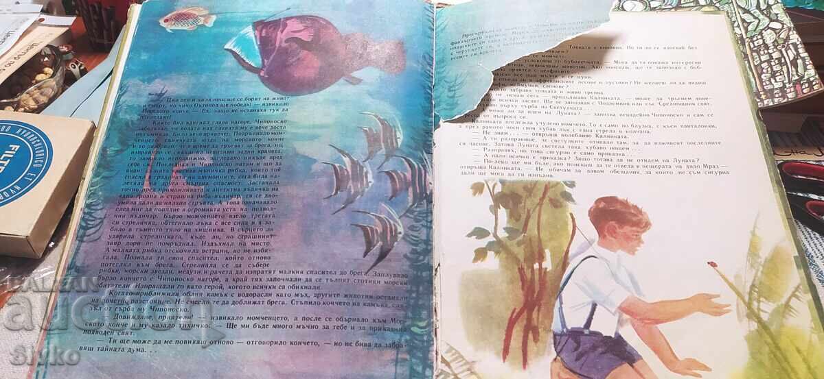Οι περιπέτειες του Τσιπονοσκο, Γιορντάν Μιλτένοφ πολλές εικονογραφήσεις - 7 Οι περιπέτειες του Τσιπονοσκο, Γιορντάν Μιλτένοφ πολλές εικονογραφήσεις - 7